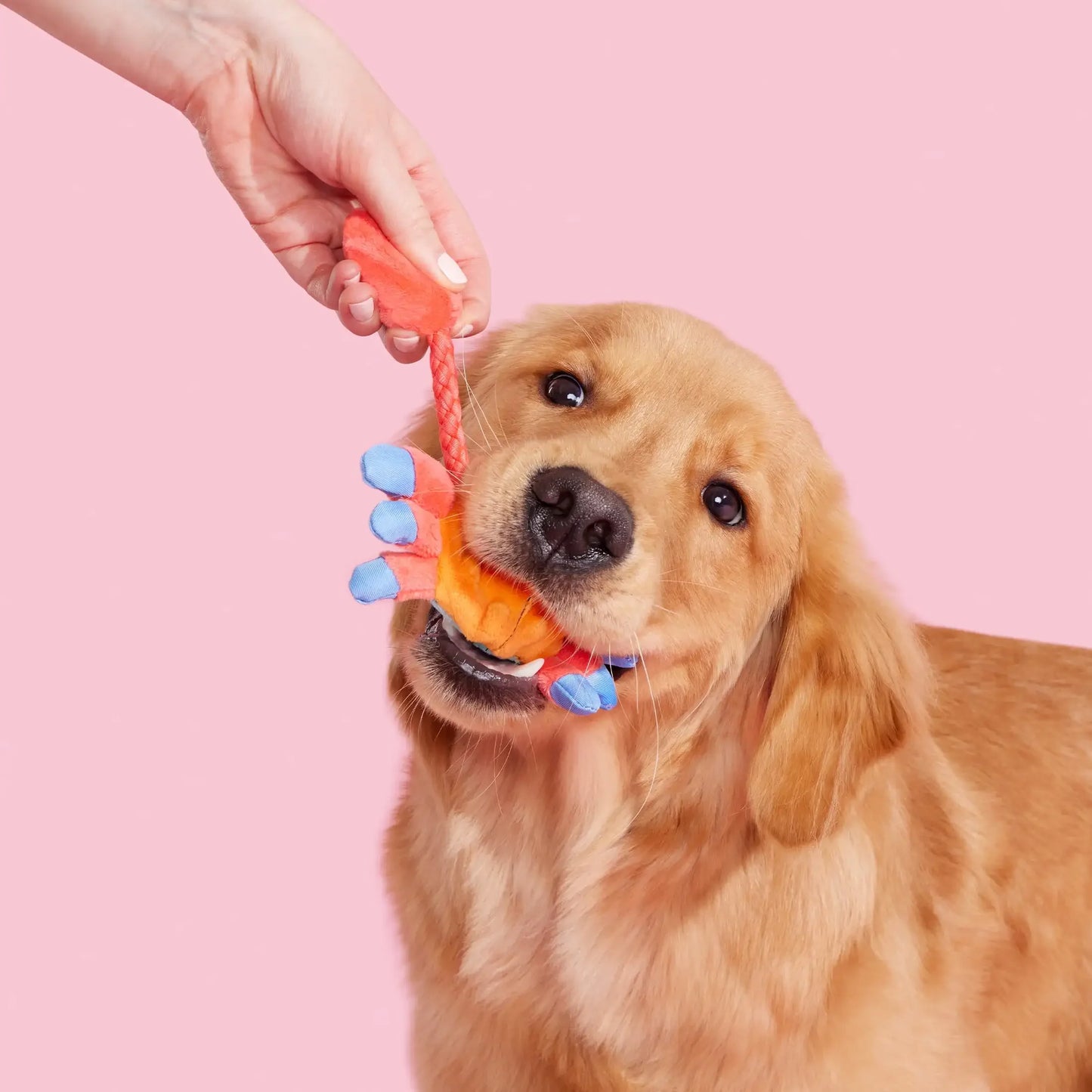 Plush Dog Toys Sally Bitefoot Crab, for Dogs of All Sizes