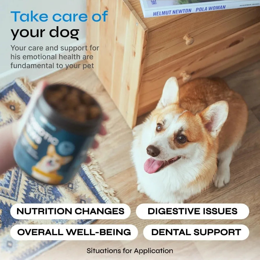Probiotics for Dogs Probiotic Chews for Digestive and Gut Health Dental Immune System Support Chewable Prebiotic Soft Treats Wi