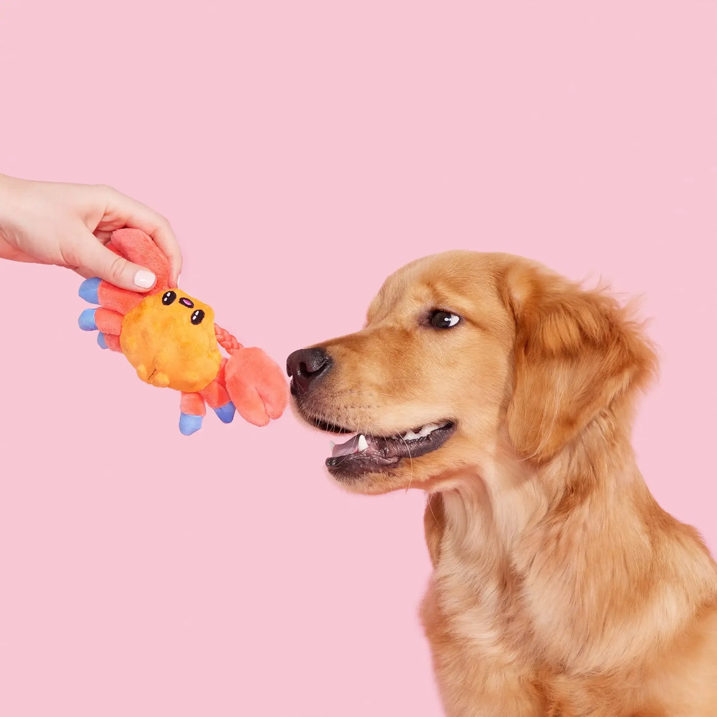 Plush Dog Toys Sally Bitefoot Crab, for Dogs of All Sizes