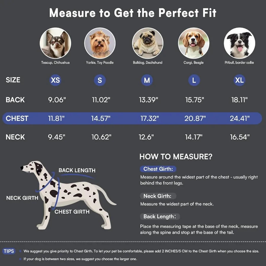 Warm Pullover Dog Sweaters for Small Dogs in Royal Blue Soft Thick Winter Clothing Ideal for Chihuahua Dachshund Yorkie Perfect