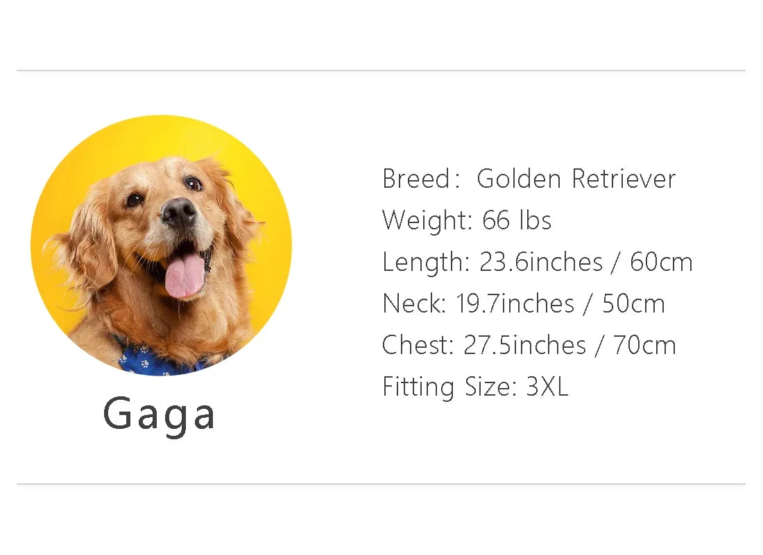 All Weather Dog Raincoat: Dual-sided Waterproof Coat with Polyester Fiber PU Coating and Quick-Adjust Velcro Closure