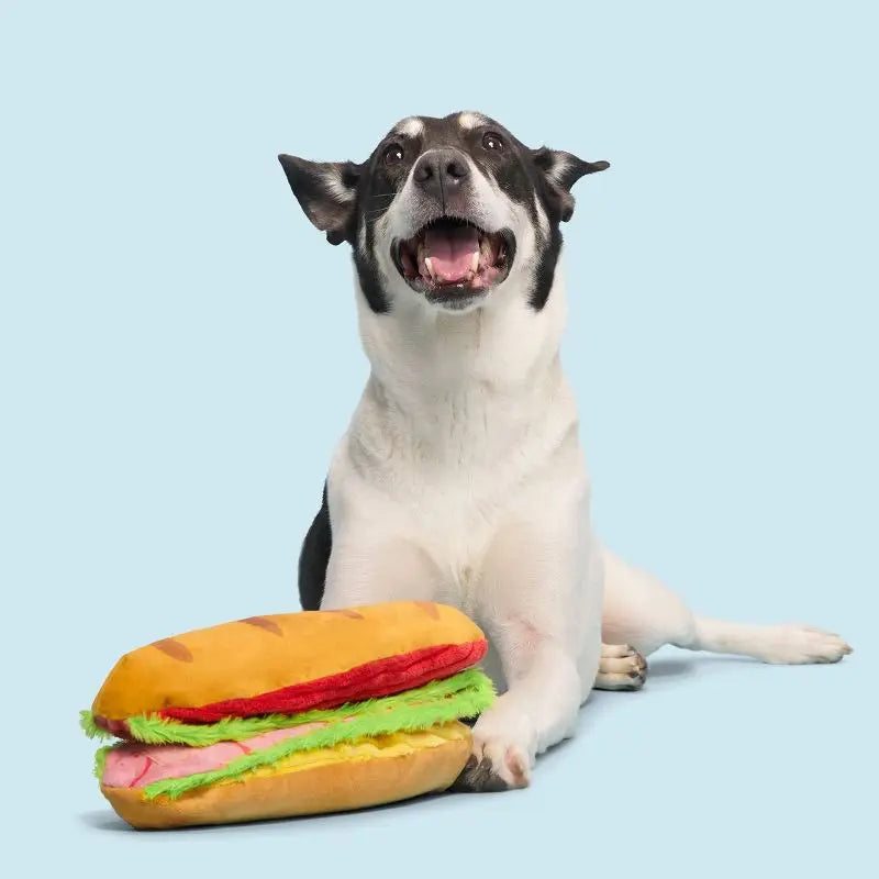 Big Bite Hoagie Sandwich Dog Toy with Squeaker Crinkle Layers Unfolds 3 Feet Interactive Fetch Chew Toy for Puppies All Sizes