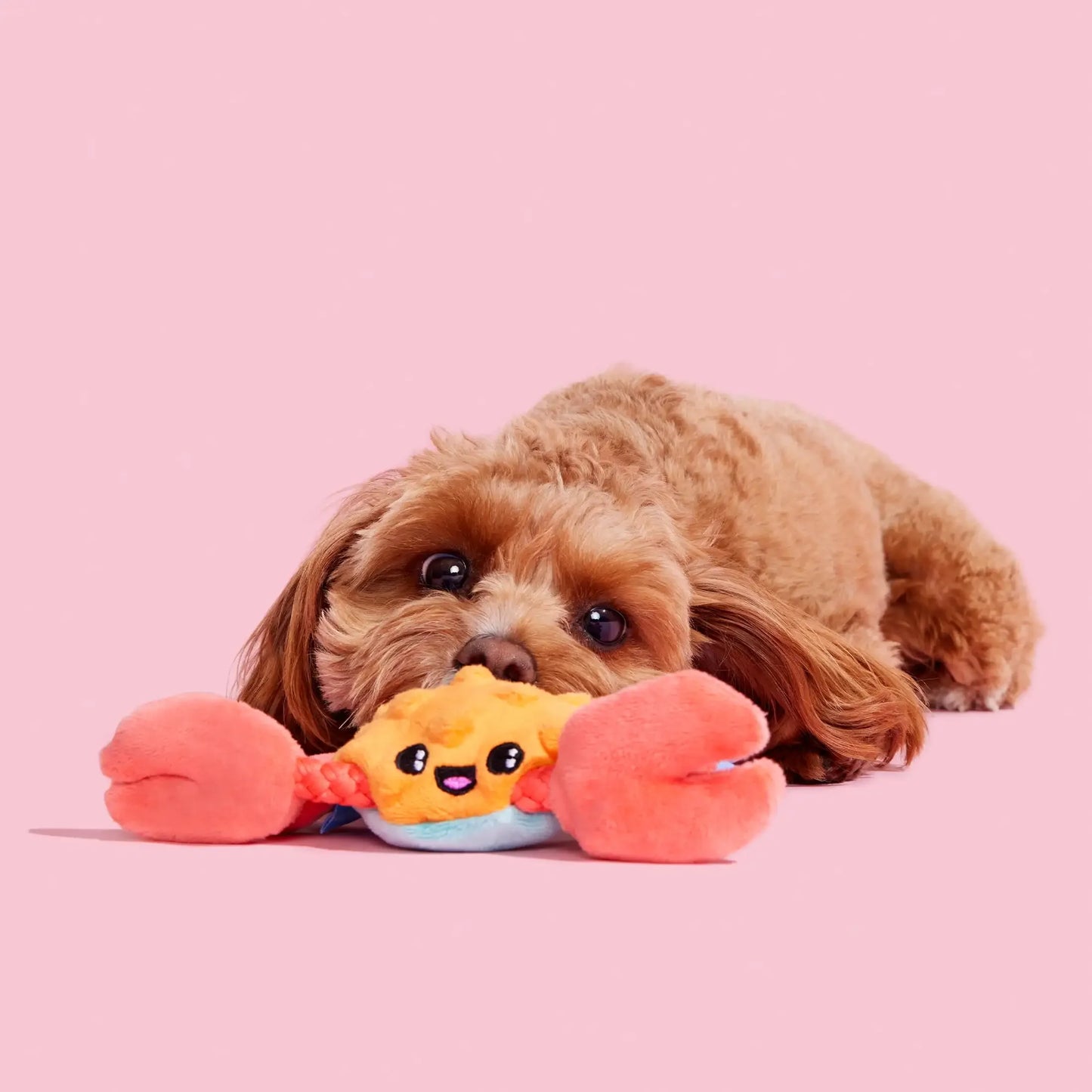 Plush Dog Toys Sally Bitefoot Crab, for Dogs of All Sizes