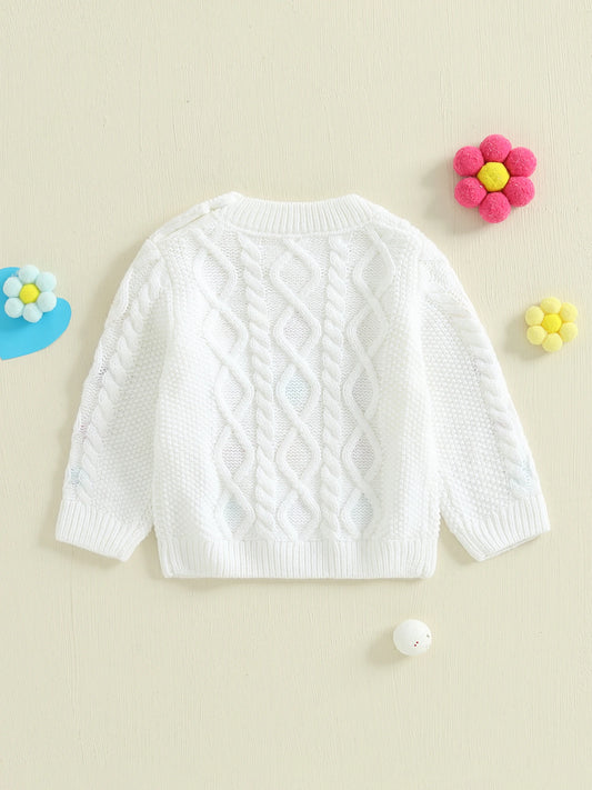 Infant Girls Floral Embroidered Knit Sweater with Crew Neck Jacquard Design and Long Sleeves - Adorable Pullover Top