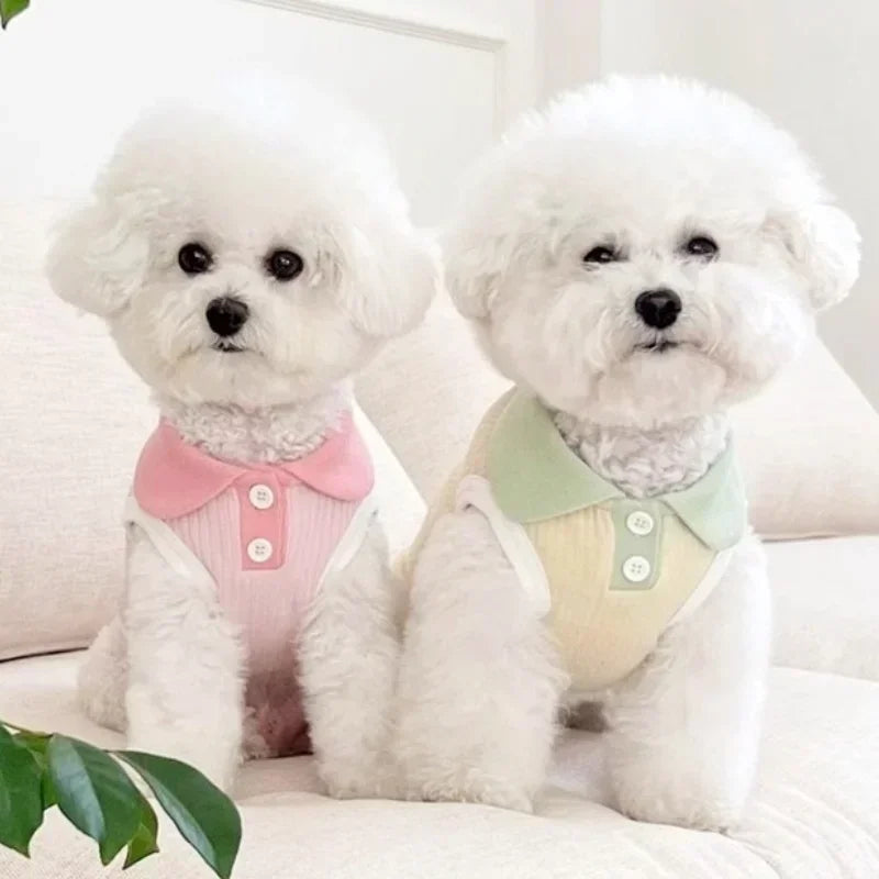 Summer Pet Dog Polo Shirt Breathable Dog Clothes Fashion Puppy Vest Cute Solid Cat Shirt Soft Pet Costumes Chihuahua Dog Clothes