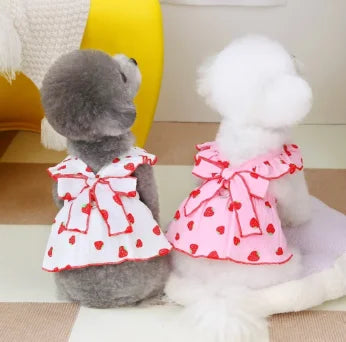 Strawberry Pattern Summer Dress for Dog Pet Clothing Dog Suspender Skirt Cats Puppy Cute Dog Costume Supplies