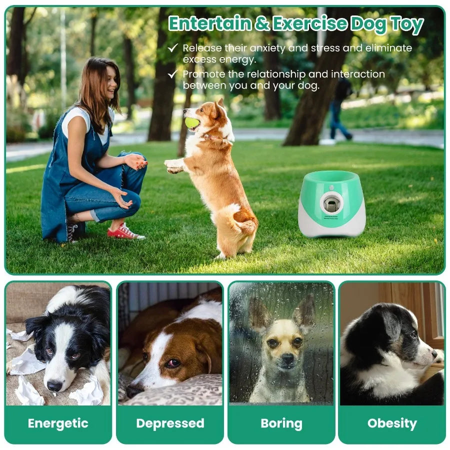 Automatic Dog Ball Launcher Included 6 Tennis Balls Dog With 3 Adjustable Launch Distance Interactive Ball Thrower Fetch Machin