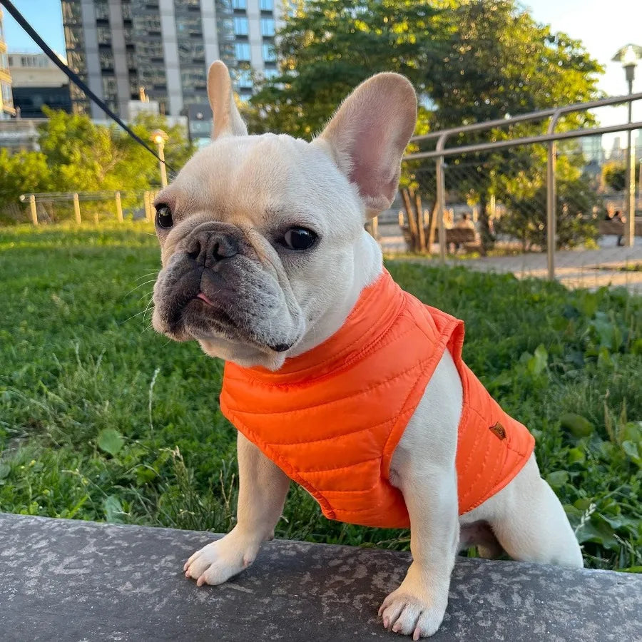 Ultra Thin Zip Up Wind Breaker Puffer Vest Dog Jacket in Orange for Small to Medium Dogs Water Resistant with Dual D Ring Leash