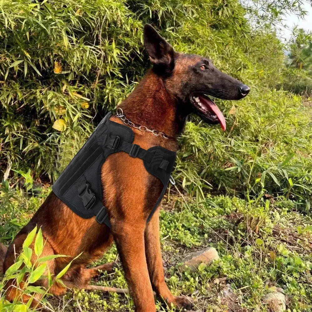 Medium and large dog tactical vest nylon water-repellent tactical training wolf dog harness explosion-proof