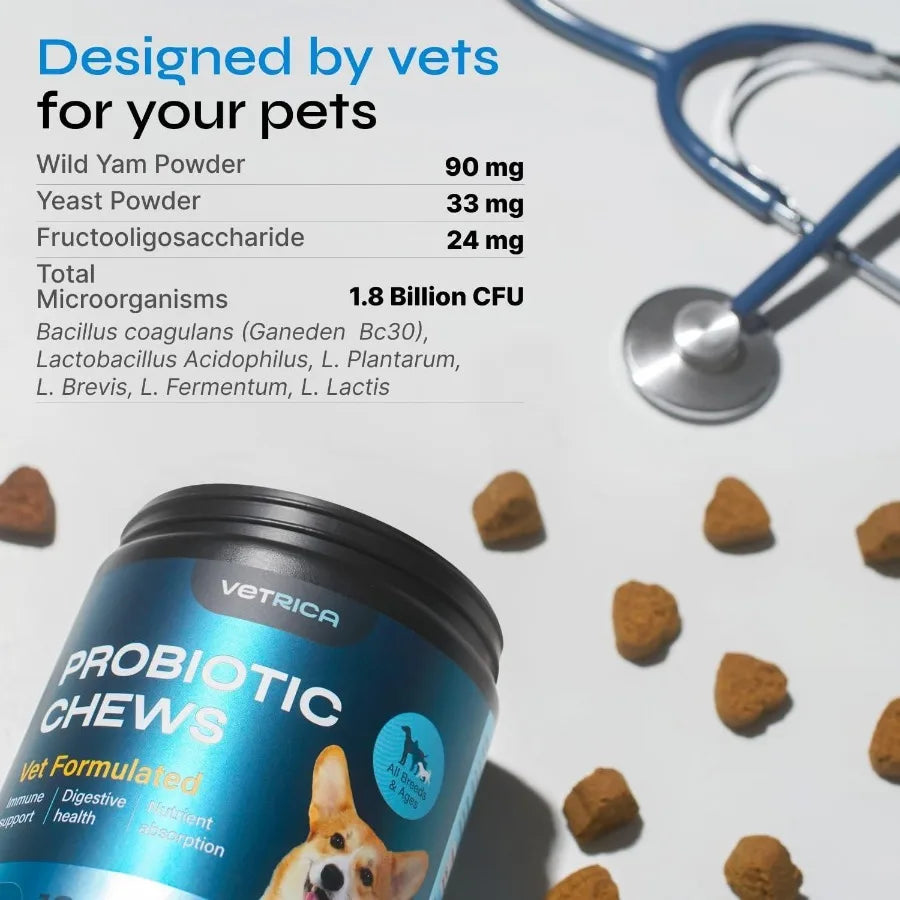 Probiotics for Dogs Probiotic Chews for Digestive and Gut Health Dental Immune System Support Chewable Prebiotic Soft Treats Wi