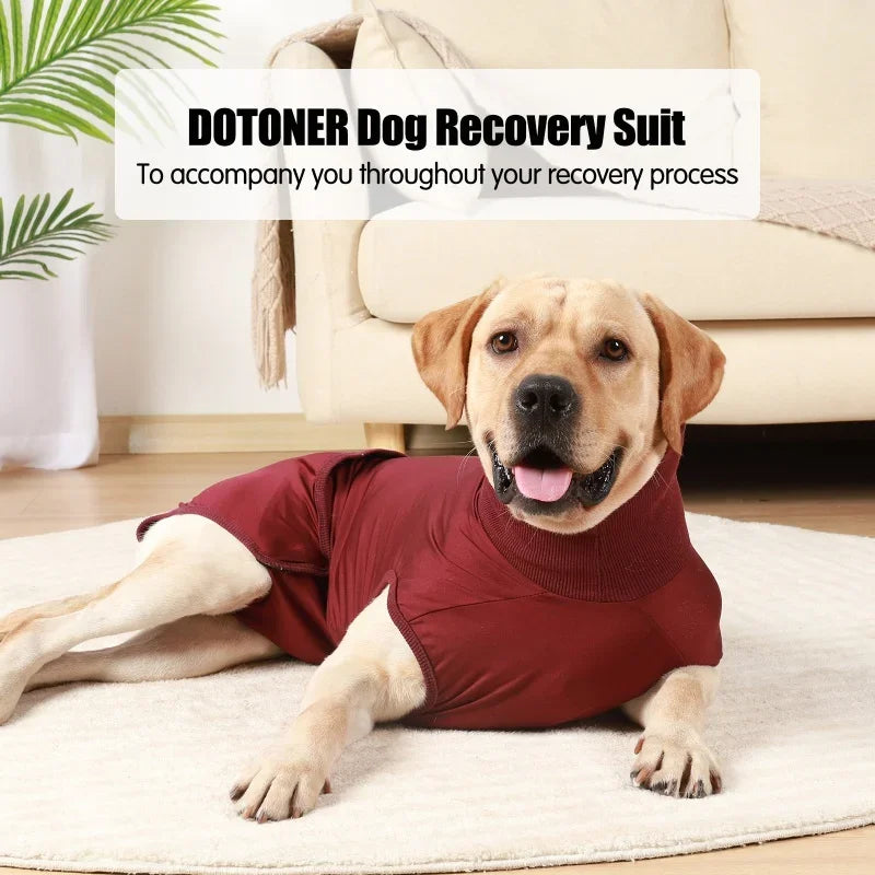 Recovery Suit for Dogs Cats After Surgery Professional Pet Recovery Shirts Dog Abdominal Wounds Bandages Prevent Licking Clothes