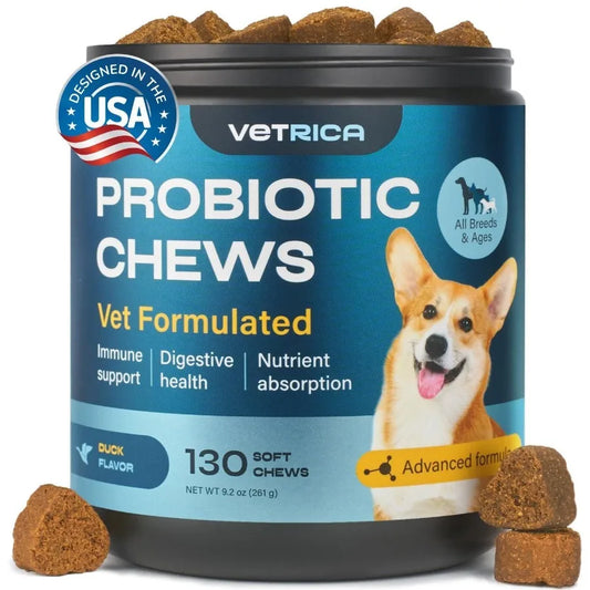 Probiotics for Dogs Probiotic Chews for Digestive and Gut Health Dental Immune System Support Chewable Prebiotic Soft Treats Wi