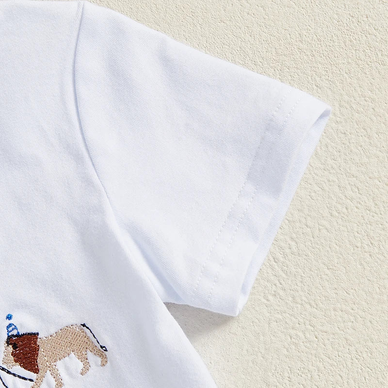 Baby Boy Birthday Outfit Set with Cute Animal Print Top and Stylish Plaid Shorts - Toddler 2 Piece Clothing Set