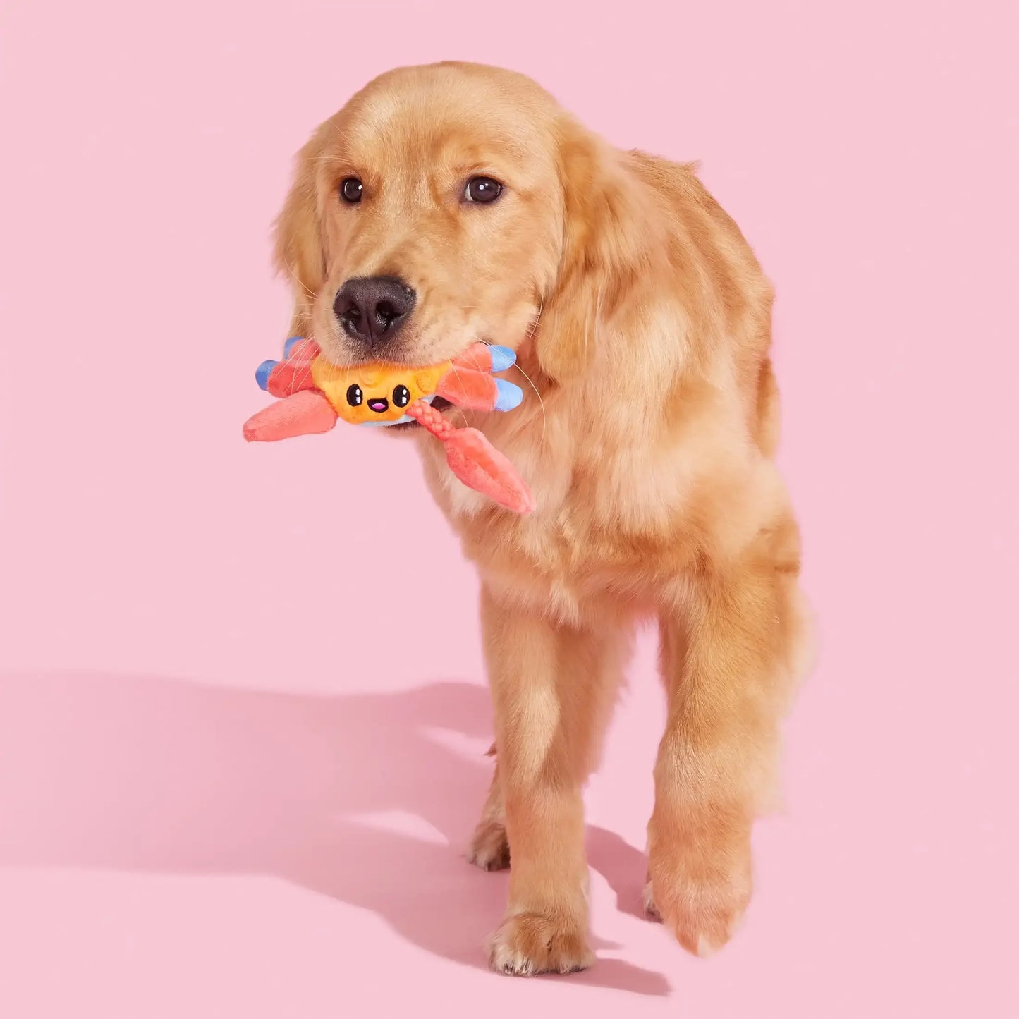 Plush Dog Toys Sally Bitefoot Crab, for Dogs of All Sizes