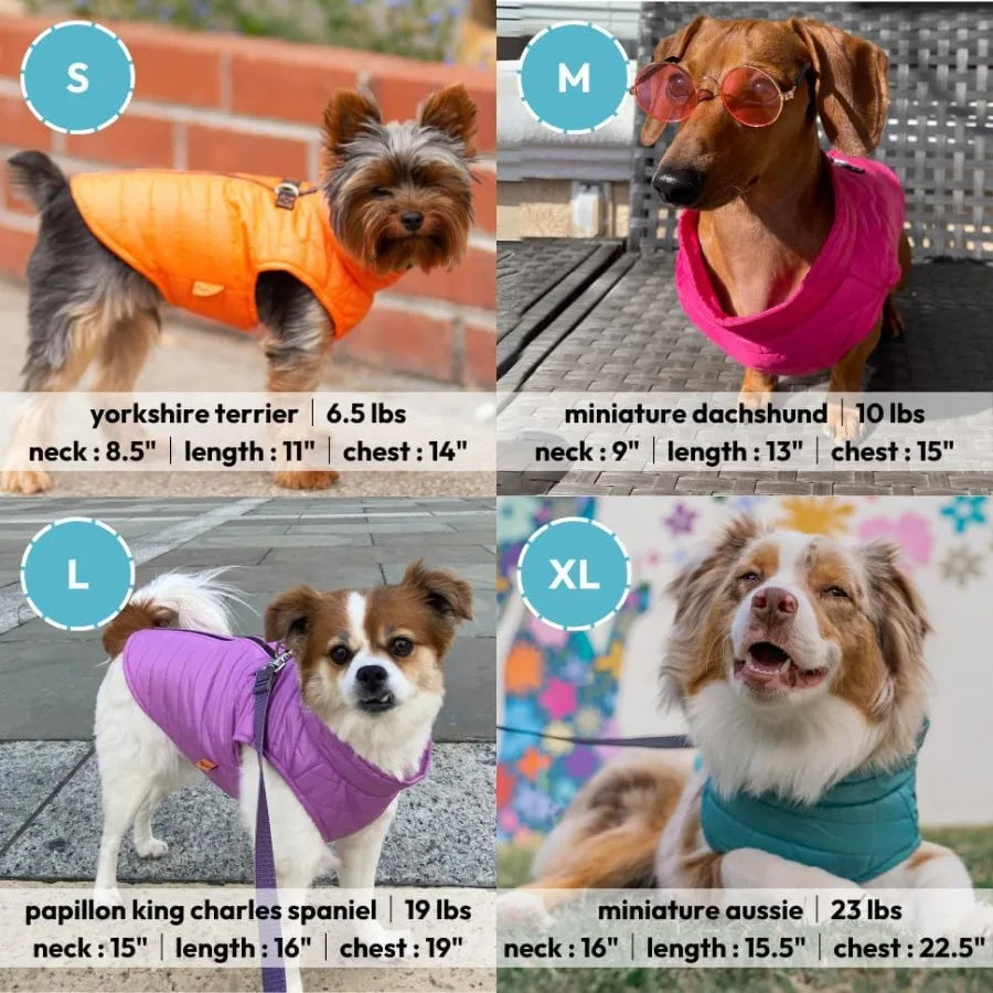 Ultra Thin Zip Up Wind Breaker Puffer Vest Dog Jacket in Orange for Small to Medium Dogs Water Resistant with Dual D Ring Leash